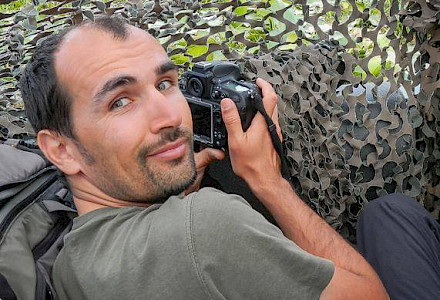 Dan Dinu